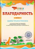 Благодарность за активную помощь при проведении Международного конкурса "Познайка" Благодарность за активную помощь при проведении Международного конкурса "Познайка"
