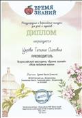 Диплом руководителя Диплом руководителя